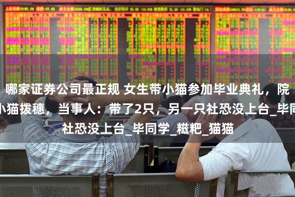 哪家证券公司最正规 女生带小猫参加毕业典礼，院长宠溺微笑为小猫拨穗，当事人：带了2只，另一只社恐没上台_毕同学_糍粑_猫猫