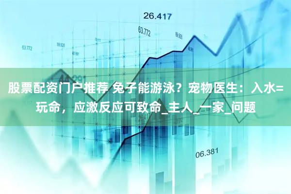 股票配资门户推荐 兔子能游泳？宠物医生：入水=玩命，应激反应可致命_主人_一家_问题