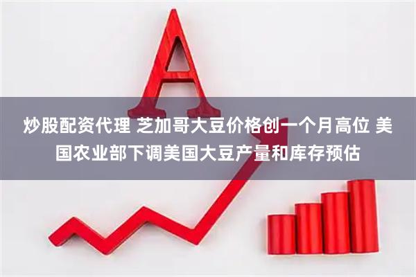 炒股配资代理 芝加哥大豆价格创一个月高位 美国农业部下调美国大豆产量和库存预估