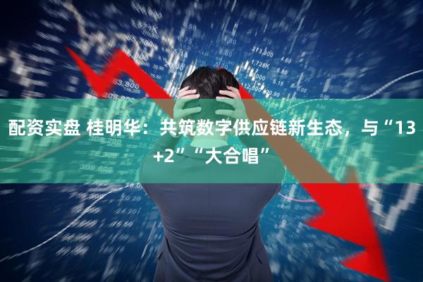 配资实盘 桂明华:共筑数字供应链新生态,与“13+2”“大合唱”